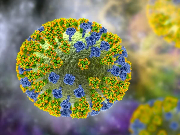 virus1786196593-0-600x450.webp.webp
